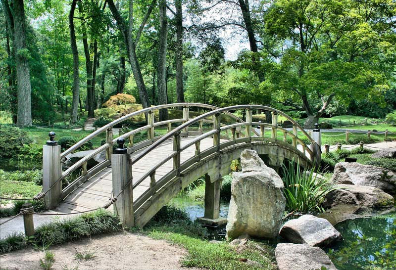 Bridging the Gap: How Vendors Can Meet Brand Requirements for Transparency